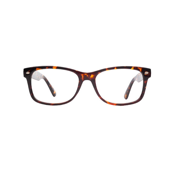 glasses for women Burbank