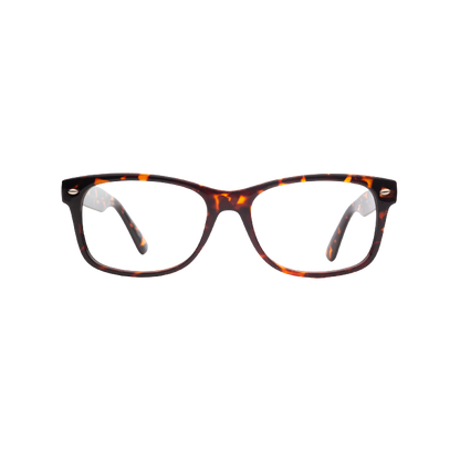 glasses for women Burbank