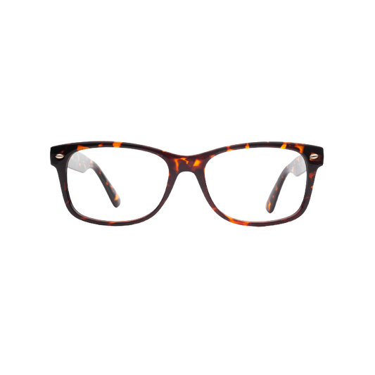glasses for women Burbank